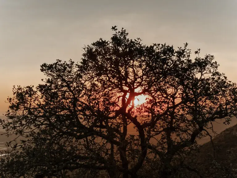 Recurso - Atardecer 4